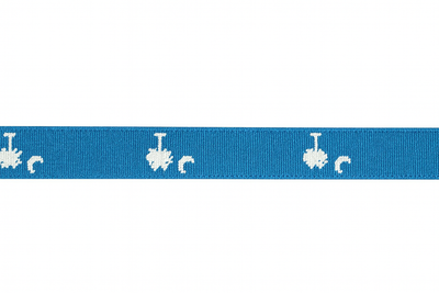 South Carolina Flag Embroidered Belt